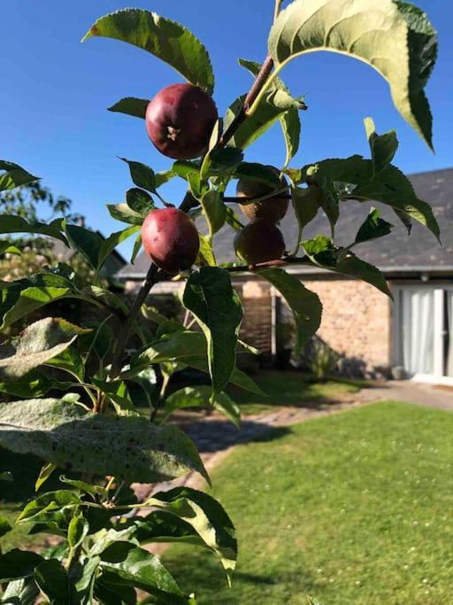 Le Gite D'Eva Honfleur Ngoại thất bức ảnh